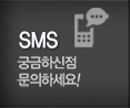 1톤스카이차 SMS